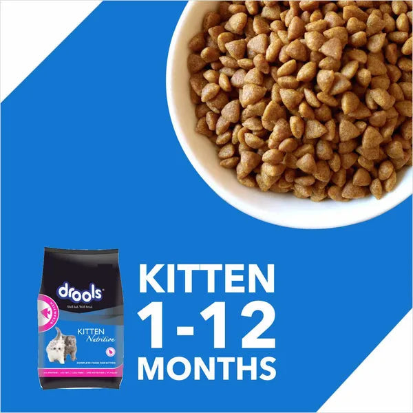 Drools Dry Cat Food Ocean Fish Kitten