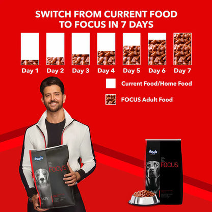 Drools Focus Adult Super Premium Dry Dog Food