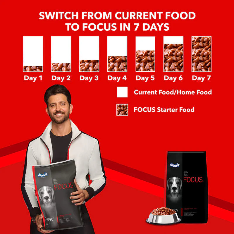 Drools Focus Puppy Super Premium Dry Dog Food