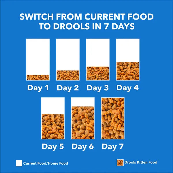 Drools Real Chicken Adult Cat Dry Food
