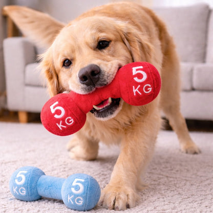 Dumble Plus Toys For Dogs