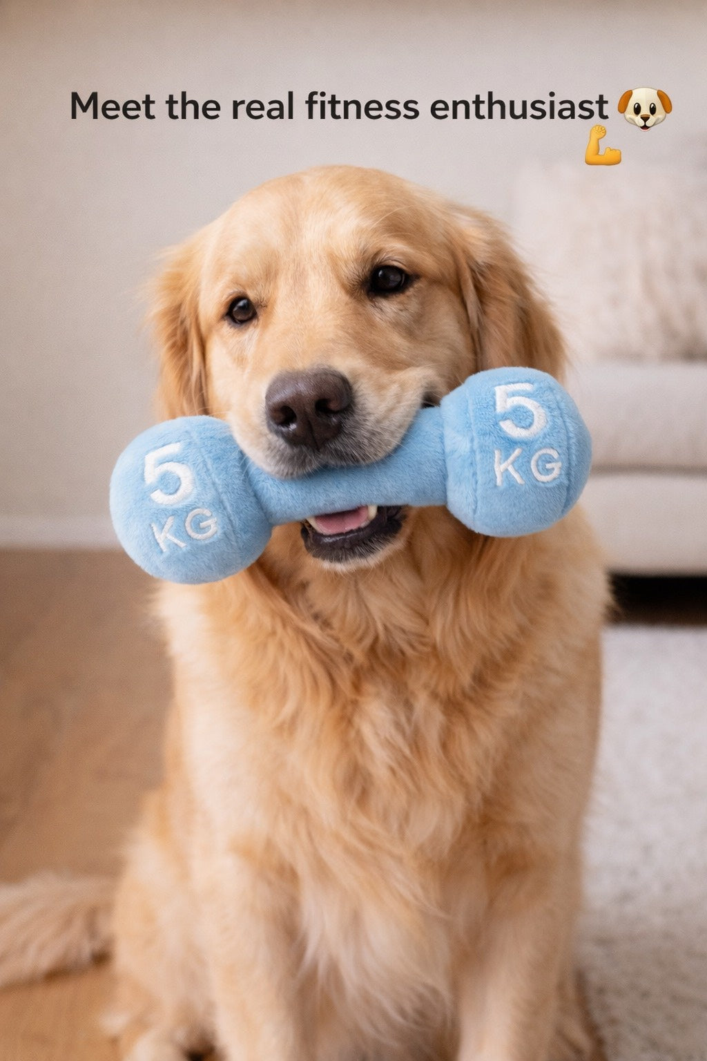 Dumble Plus Toys For Dogs