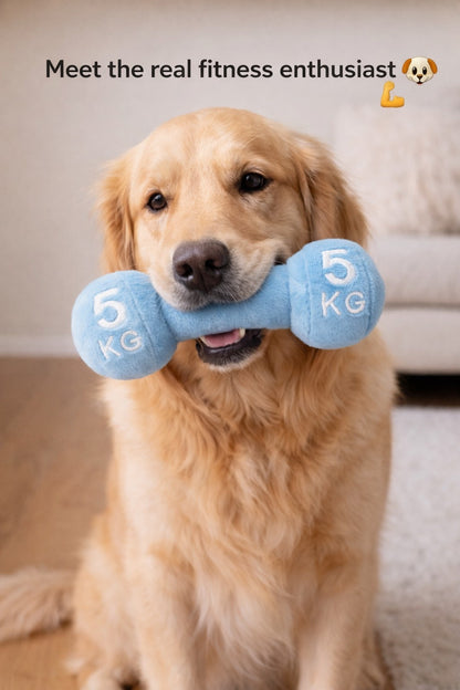 Dumble Plus Toys For Dogs