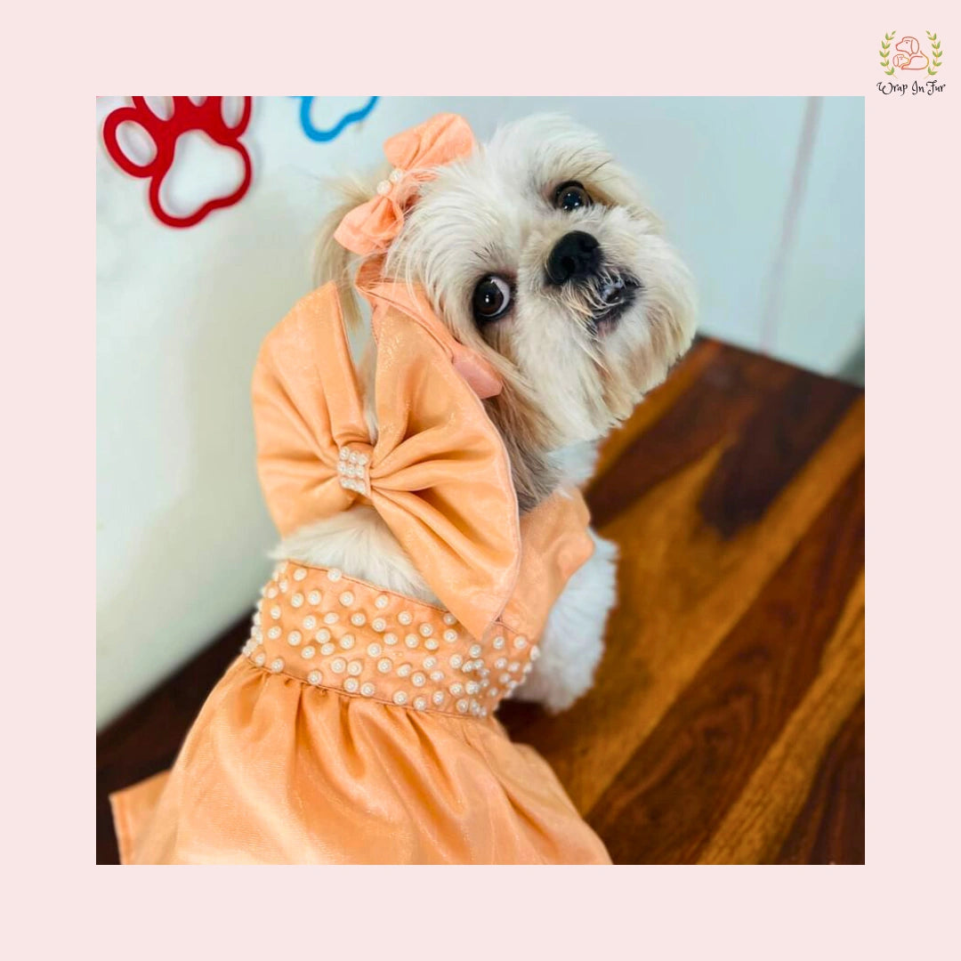 Elegant Peach Dog Princess Dress - Pearl Embellished Satin Gown