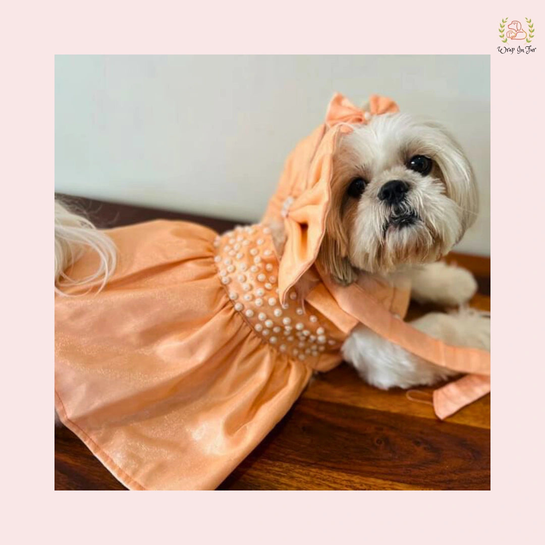 Elegant Peach Dog Princess Dress - Pearl Embellished Satin Gown