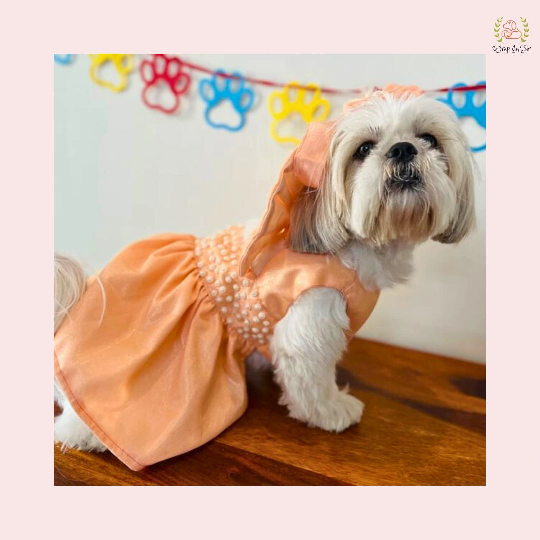 Elegant Peach Dog Princess Dress - Pearl Embellished Satin Gown