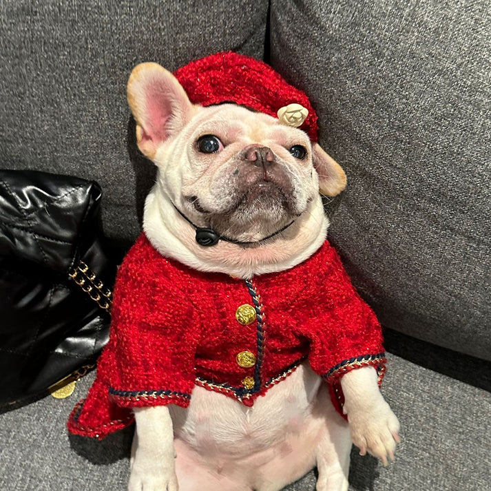 Elegant Red Beret Dog Dress – Premium Winter Tweed Outfit