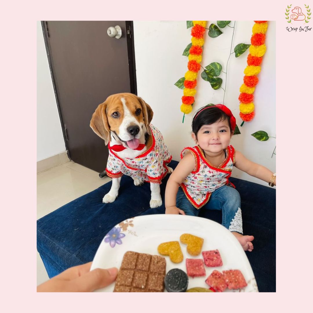 Elephant Print Angarkha Dog Kurta - Traditional Indian Dog Ethnic Wear Dress