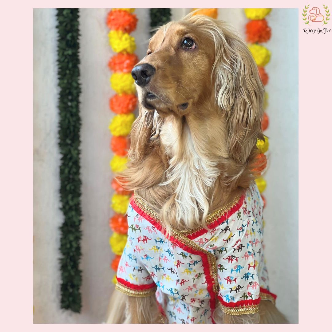 Elephant Print Angarkha Dog Kurta - Traditional Indian Dog Ethnic Wear Dress
