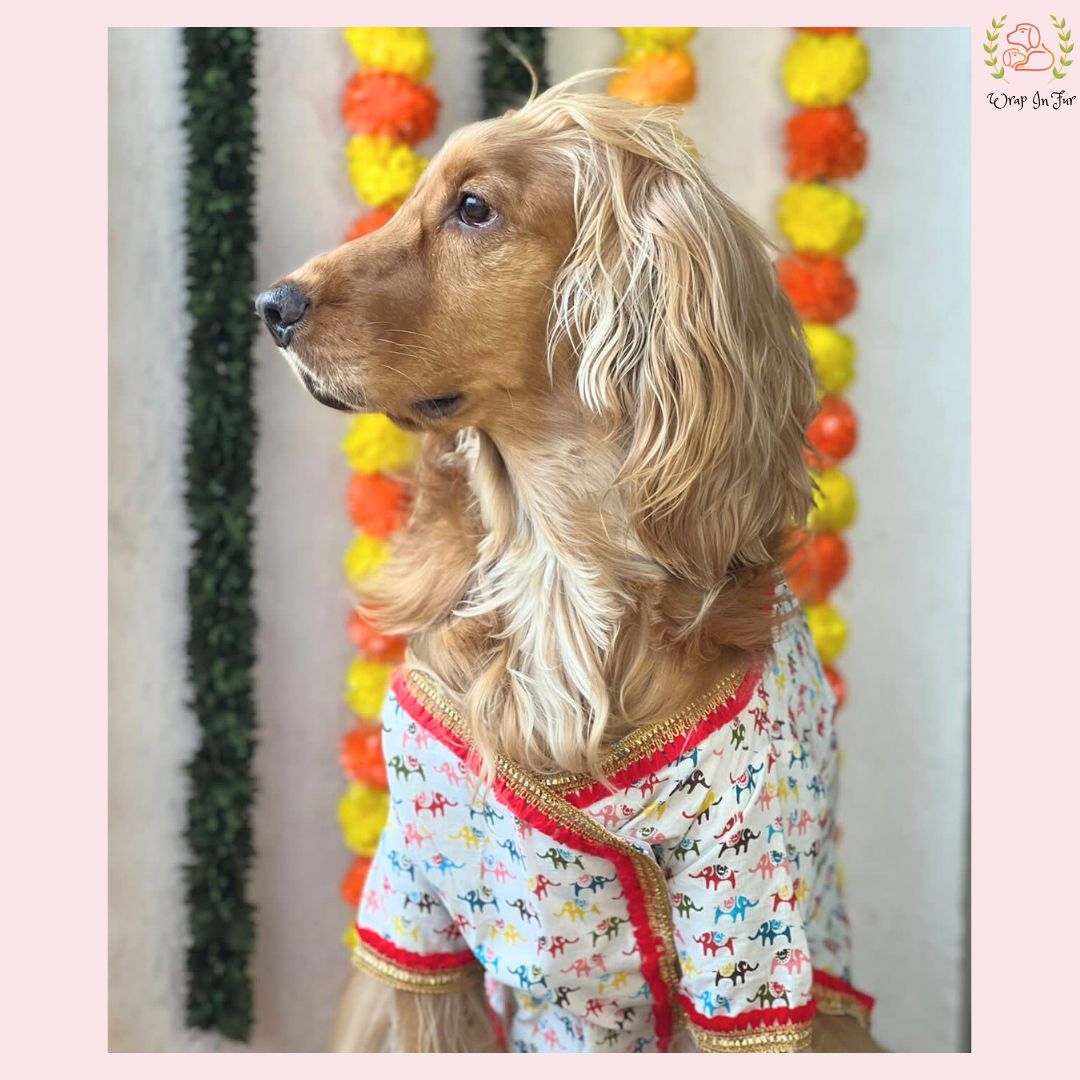 Elephant Print Angarkha Dog Kurta - Traditional Indian Dog Ethnic Wear Dress