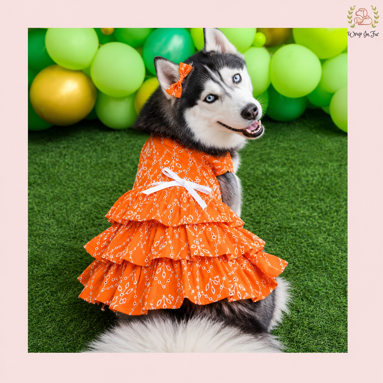 Husky  Orange Dog Frock  