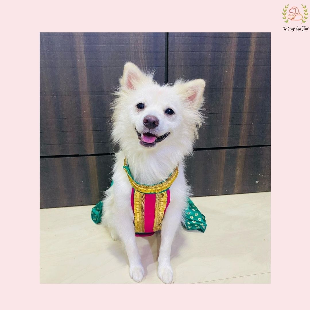 Emerald Green Dog Lehenga Choli – Premium Pet Wedding Dress