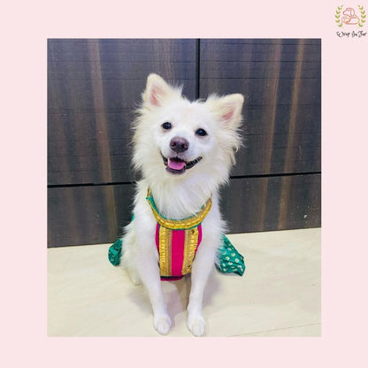 Emerald Green Dog Lehenga Choli – Premium Pet Wedding Dress