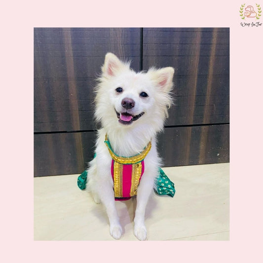 Emerald Green Dog Lehenga Choli – Premium Pet Wedding Dress