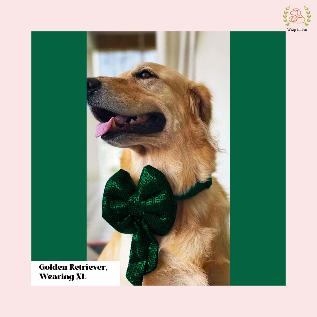 Emerald Green Sequin Dog Bow - Shimmering Holiday Pet Hair Bow Accessory