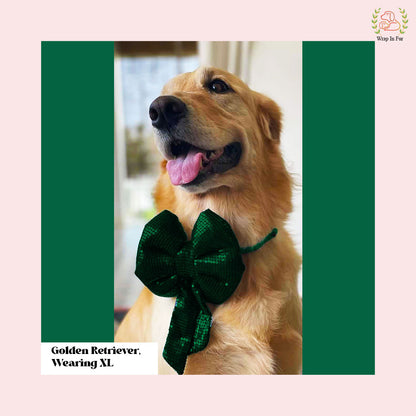 Emerald Green Sequin Dog Bow - Shimmering Holiday Pet Hair Bow Accessory