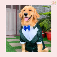 Emerald Green Sequin Dog Tuxedo Jacket - Festive Formal Suit
