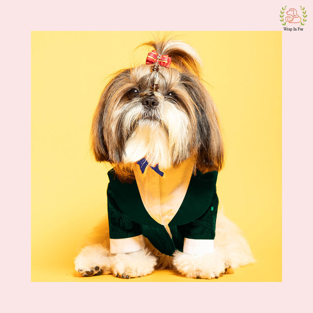 Emerald Green Sequin Dog Tuxedo Jacket - Festive Formal Suit