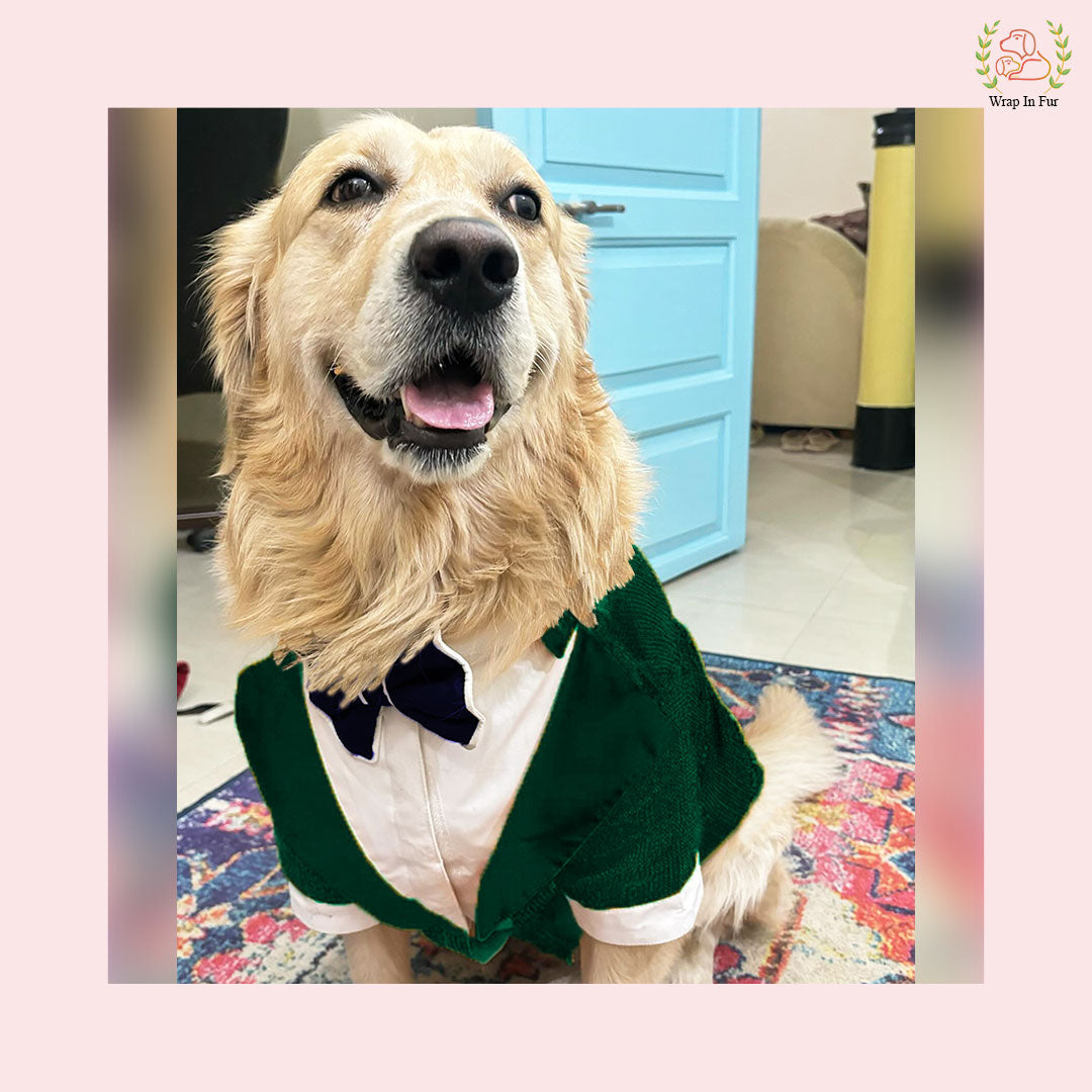 Emerald Green Sequin Dog Tuxedo Jacket - Festive Formal Suit