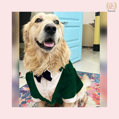 Emerald Green Sequin Dog Tuxedo Jacket - Festive Formal Suit