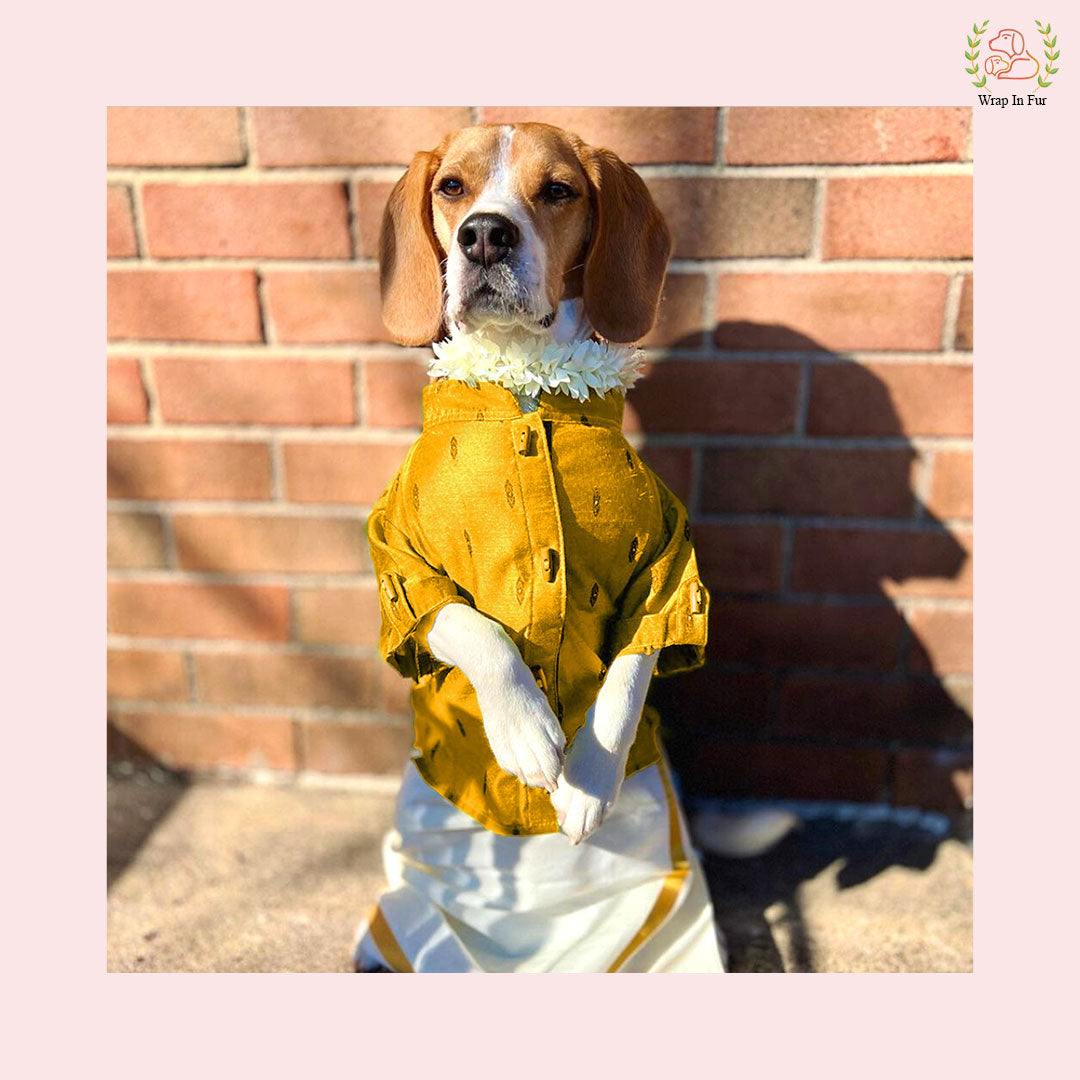 Emerald Raw Silk Dog Kurta - Premium Indian Dog Ethnic Wear