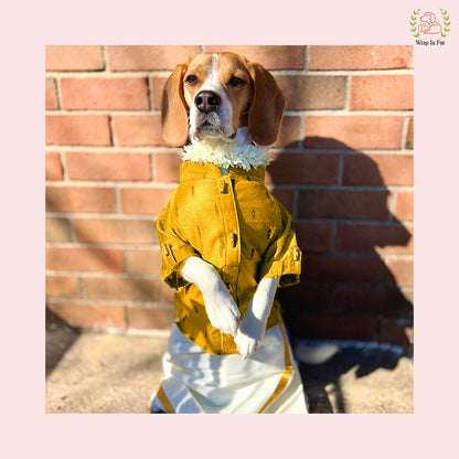 Emerald Raw Silk Dog Kurta - Premium Indian Dog Ethnic Wear
