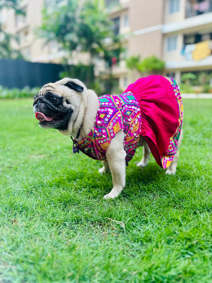 Ethnic Pink Mirror Dog Wedding Frock – Princess Style Dog Dress