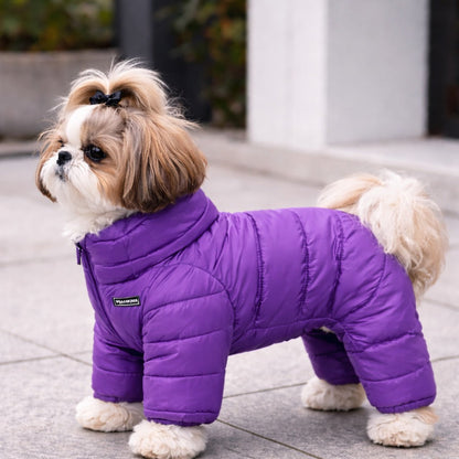Small dog wearing a purple puffer coat on a paved surface.