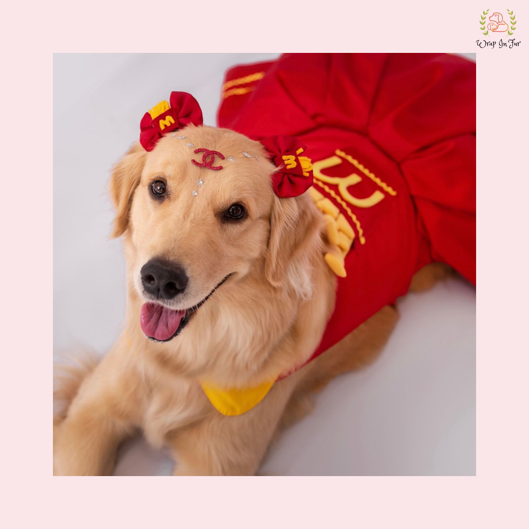 Fast Food French Fry Dog Costume Dress - Red Novelty Frock