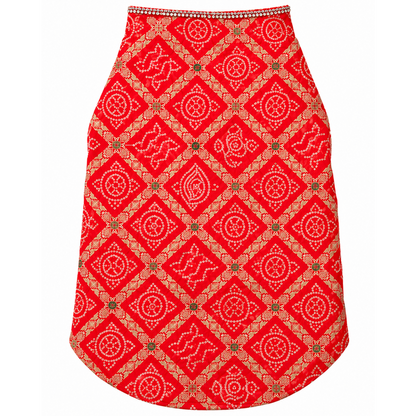 dog sherwani
