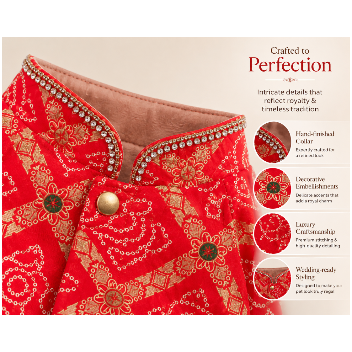 sherwani for dog