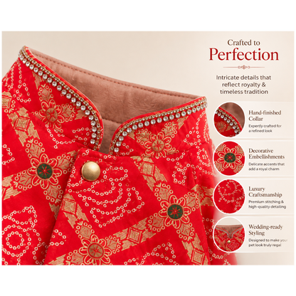 sherwani for dog