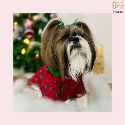Festive Red Christmas Dog Shirt – Cozy Winter Holiday Outfit