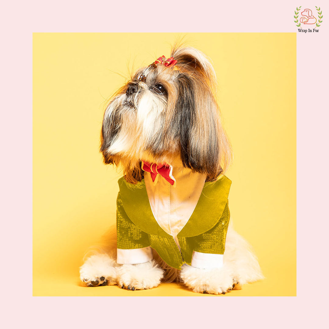 Glamorous Gold Sequin Dog Tuxedo Jacket - Festive Formal Suit 
