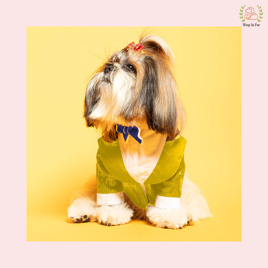 Glamorous Gold Sequin Dog Tuxedo Jacket - Festive Formal Suit