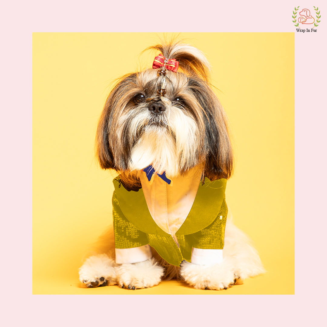 Glamorous Gold Sequin Dog Tuxedo Jacket - Festive Formal Suit