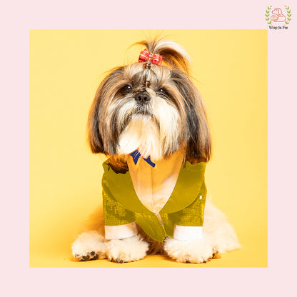 Glamorous Gold Sequin Dog Tuxedo Jacket - Festive Formal Suit