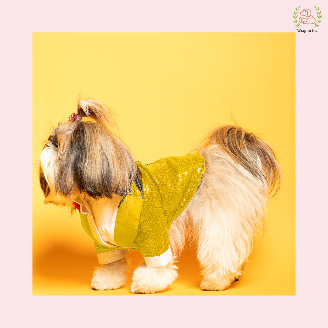 Glamorous Gold Sequin Dog Tuxedo Jacket - Festive Formal Suit