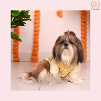 Cream & Gold Nehru Jacket Dog Kurta Set - Indian Dog Ethnic Wear