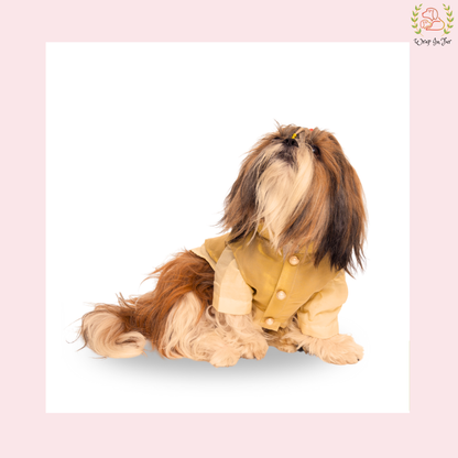 Cream & Gold Nehru Jacket Dog Kurta Set - Indian Dog Ethnic Wear