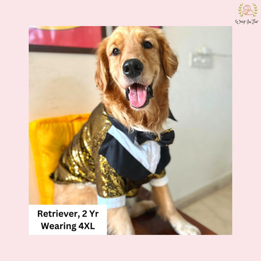 Golden Sequin Dog Tuxedo Jacket - Premium Wedding Formal Wear