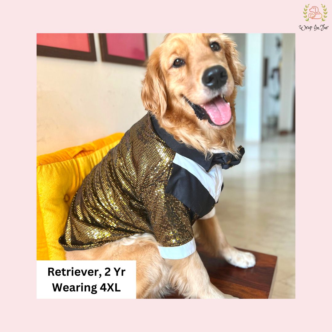 Golden Sequin Dog Tuxedo Jacket - Premium Wedding Formal Wear
