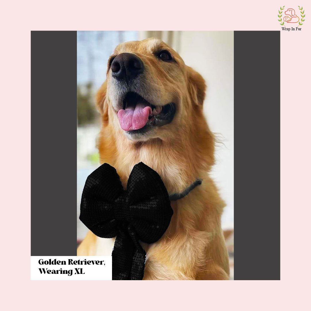 Golden retriever black bling dog bow
