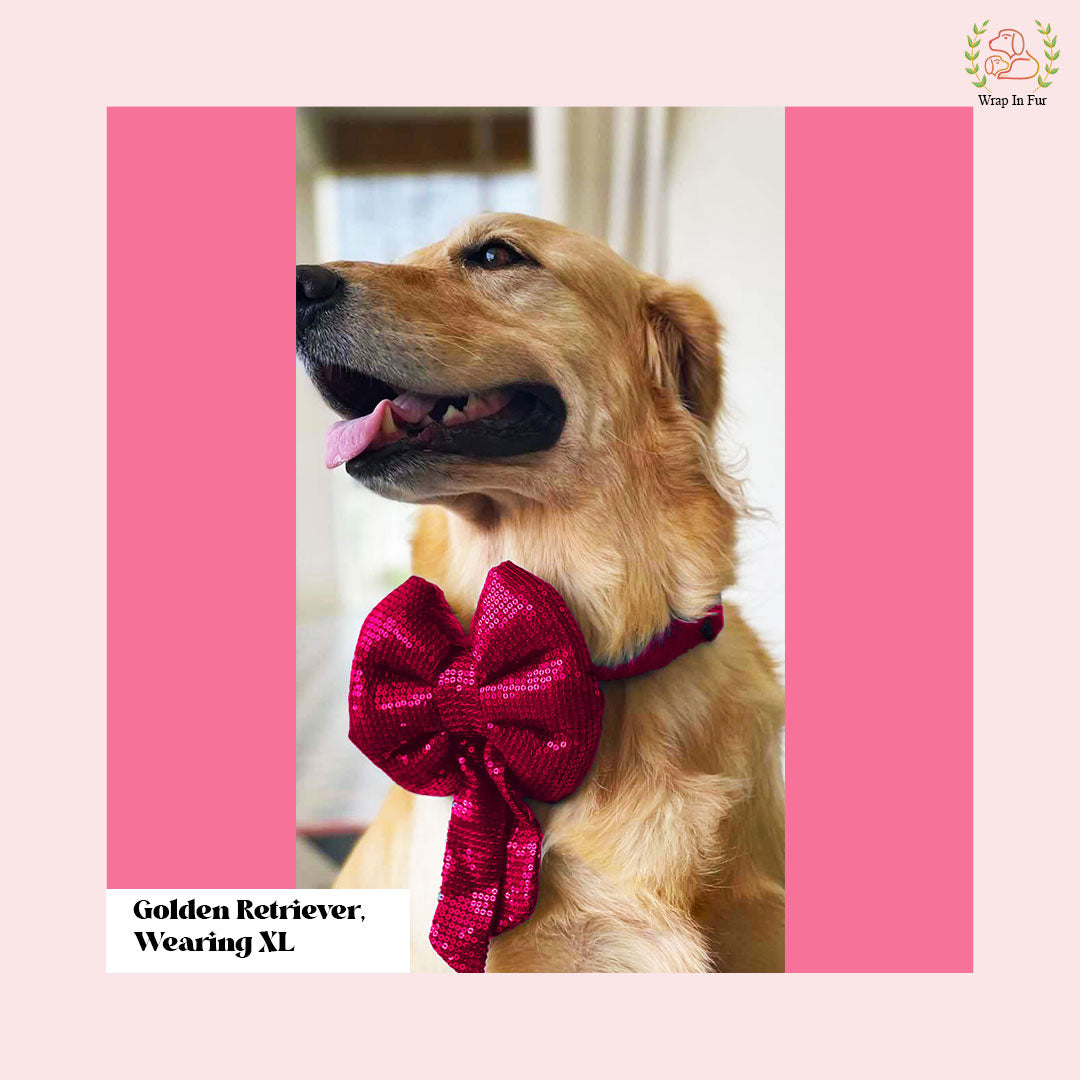 Golden retriever dark pink bling dog bow