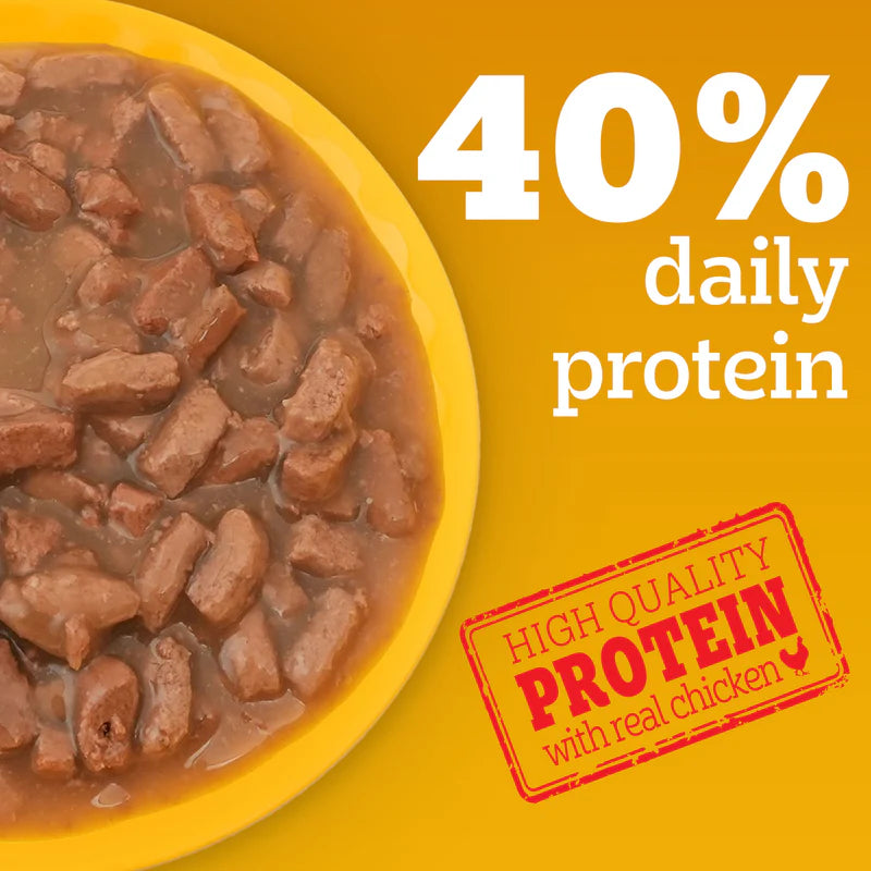 Pedigree Roasted Lamb Chunks in Gravy Adult Wet Dog Food - 130g