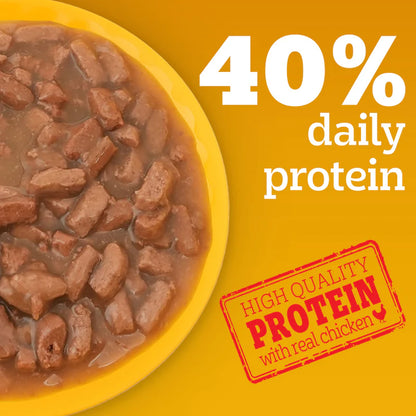 Pedigree Roasted Lamb Chunks in Gravy Adult Wet Dog Food - 130g