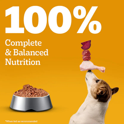 Pedigree Puppy Chicken & Liver Chunks in Gravy Wet Dog Food - 130g