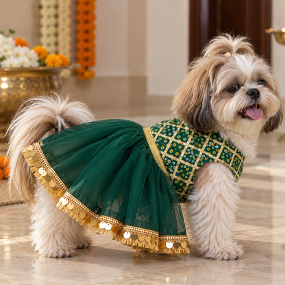 Green Bandhani Gota Dog Frock