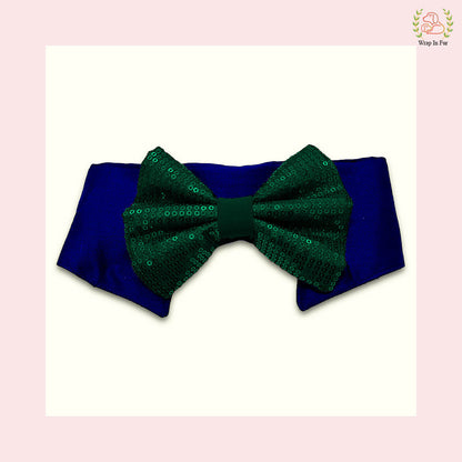 Green Bow Collar Set for dogs
