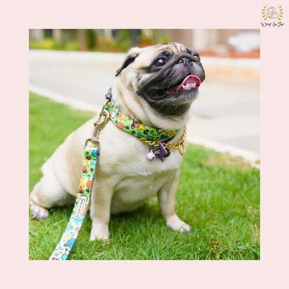 Green Fab Collar and leash